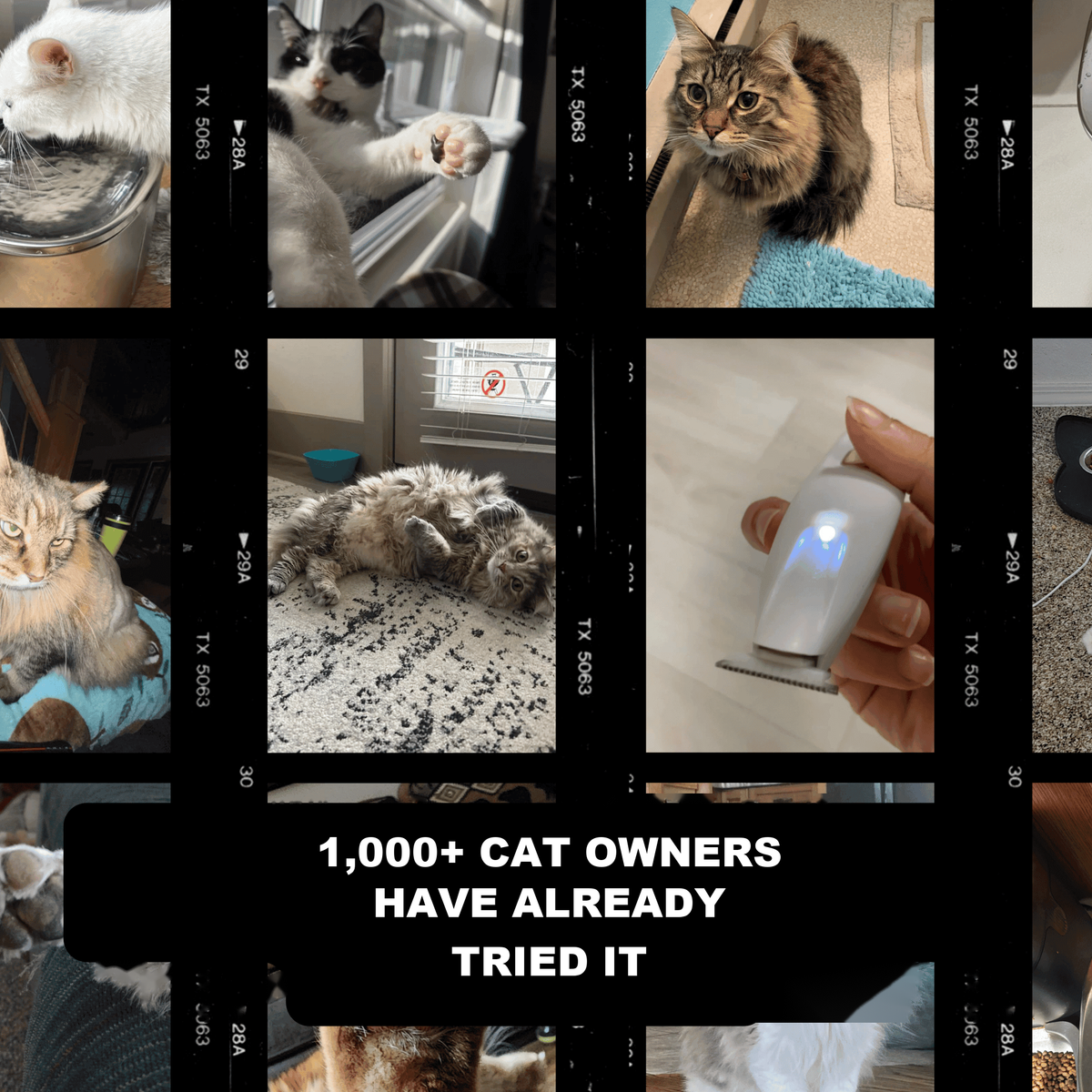 Over 1,000 cat owners have already tried it