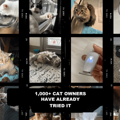 Over 1,000 cat owners have already tried it